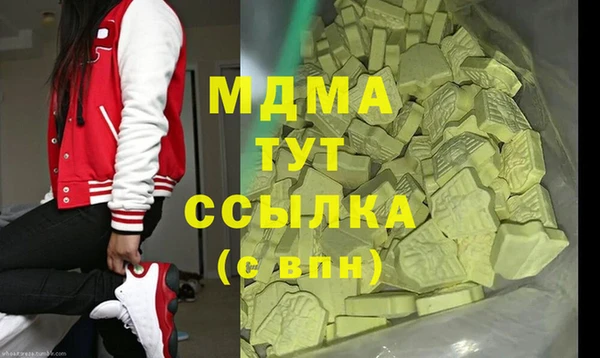 индика Вяземский